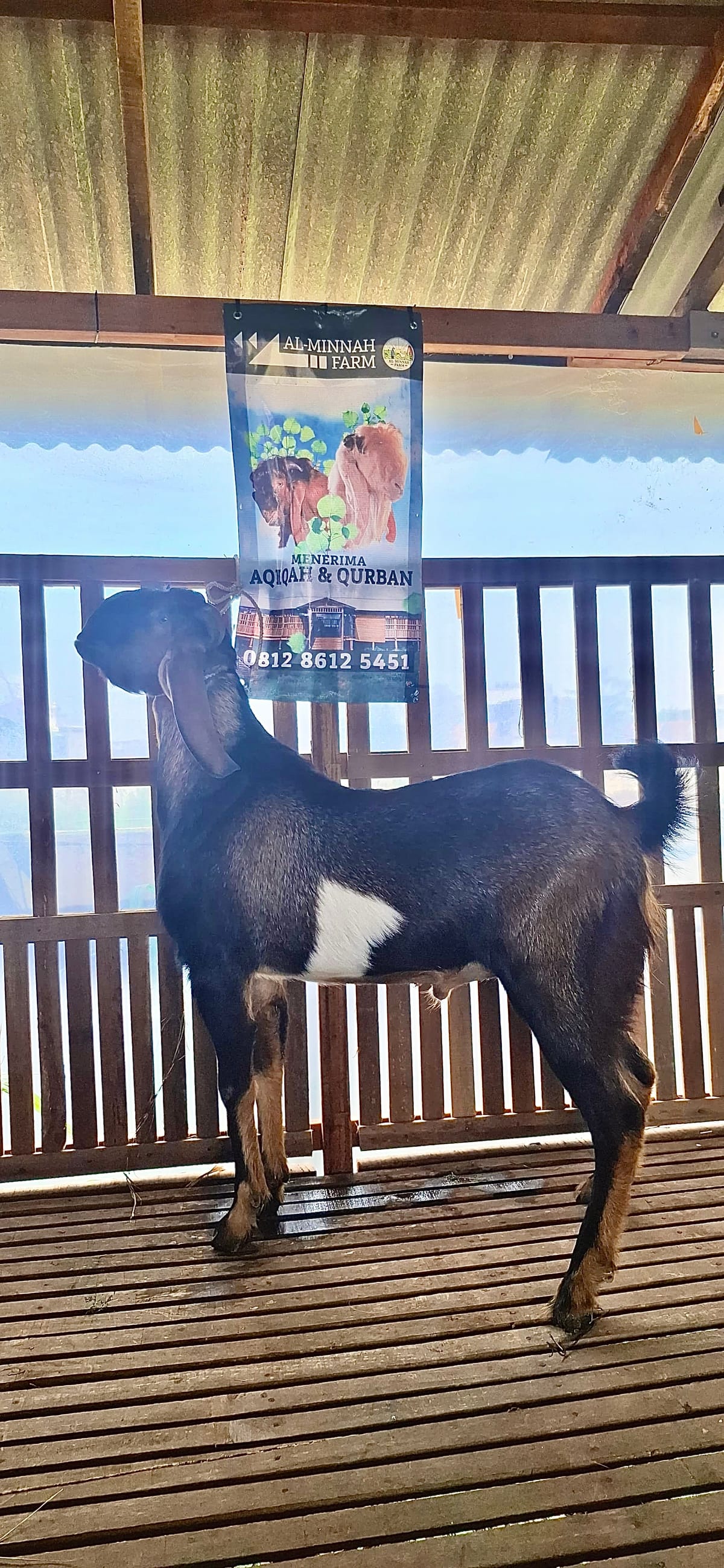 Jawarandu Jerabang
