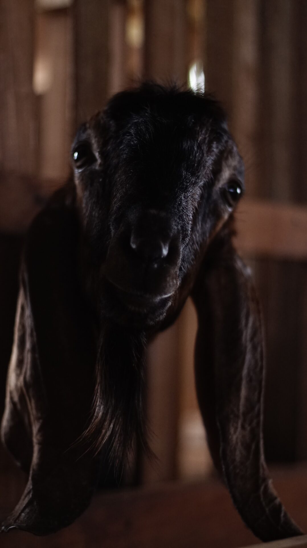 Jawarandu Jerabang 3